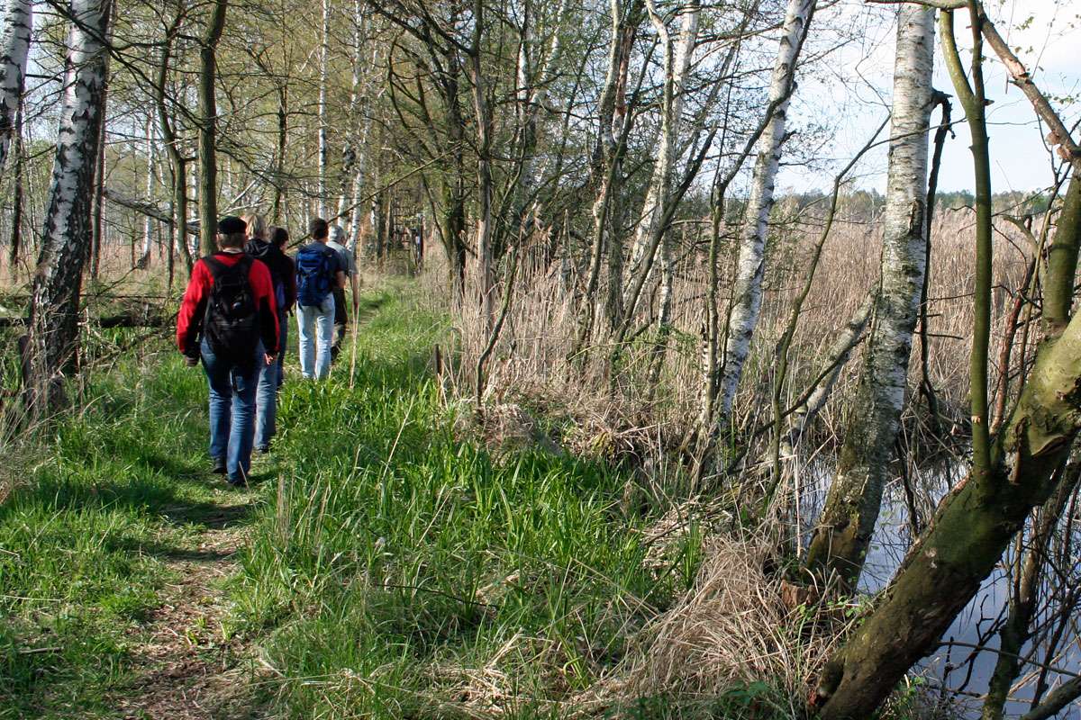 Gruppe während einer Naturwanderung, (c) NABU Medienbibliothek