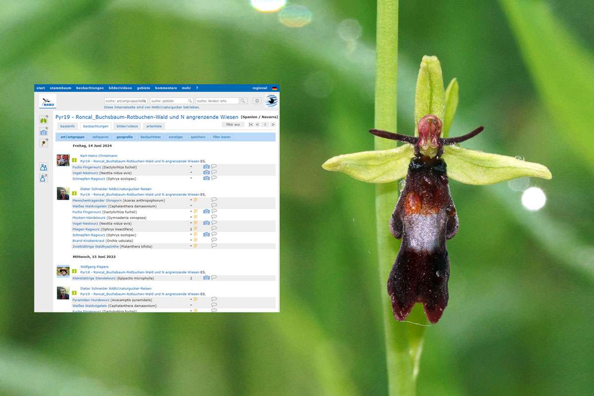 Während unserer Reisen dokumentieren wir die Naturbeobachtungen für Naturschutz und Forschung