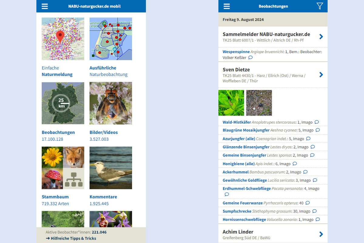 Zwei Ansichten der mobilen Meldeseite von NABU|naturgucker