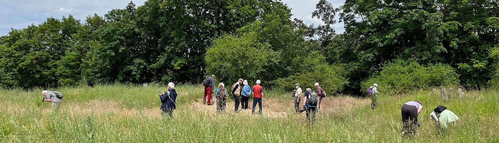 Panoramabild Netzwerkreisen, (c) Ina Siebert