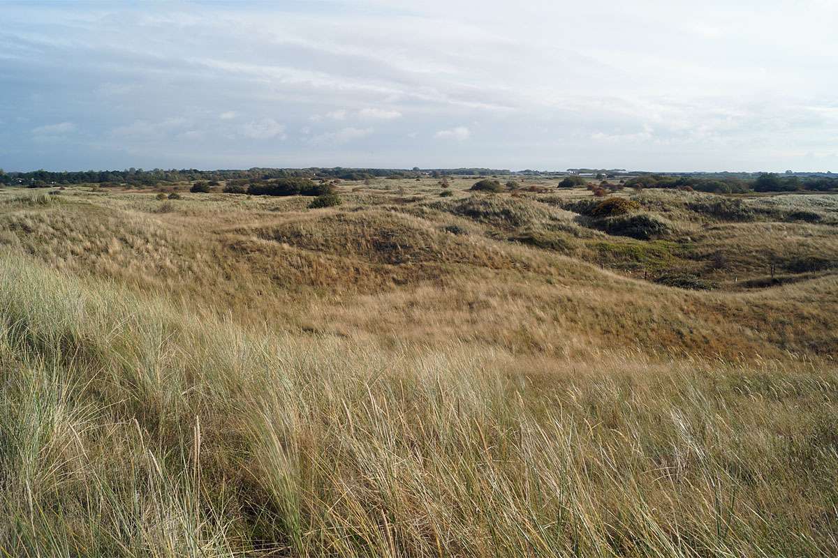 Graudünen an der Nordsee, (c) Gaby Schulemann-Maier/NABU-naturgucker.de