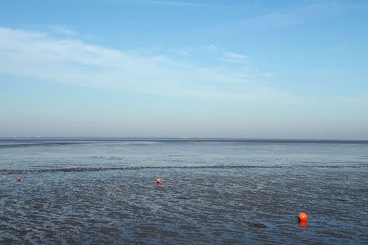 Wattenmeer, (c) Stella Mielke/NABU-naturgucker.de