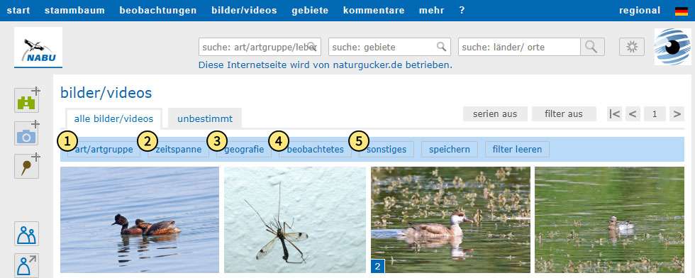 Die fünf Filterkategorien auf dem Meldeportal