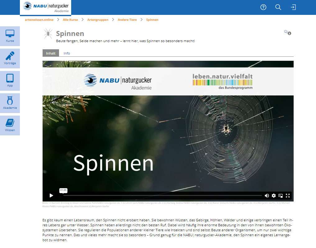 Startseite des Lernthemas Spinnen der NABU|naturgucker-Akademie