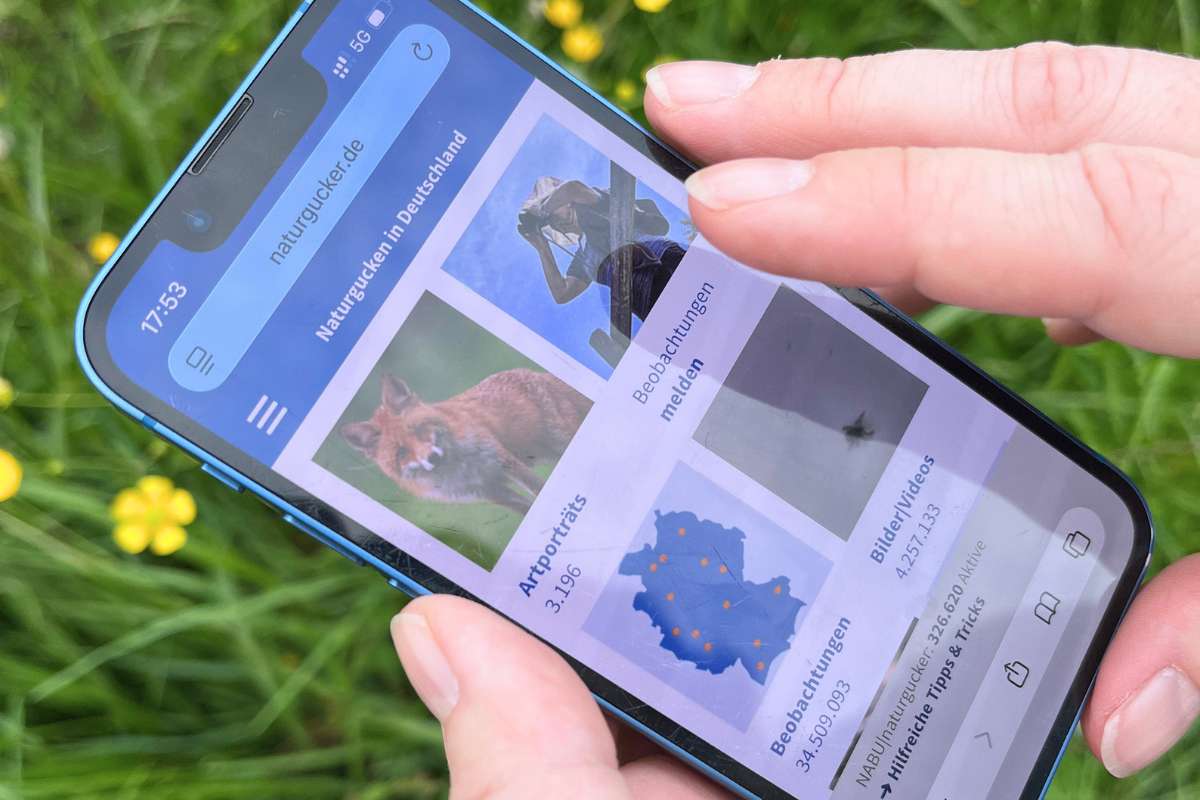 Bedienung der mobilen Meldeseite auf einem Smartphone, (c) Ina Siebert