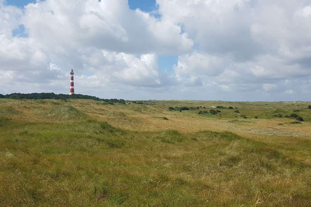 Dünen auf Ameland, (c) Thomas Griesohn-Pflieger