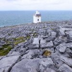Black Head Lighthouse, (c) Dr. Max Seyfried/NABU-naturgucker.de