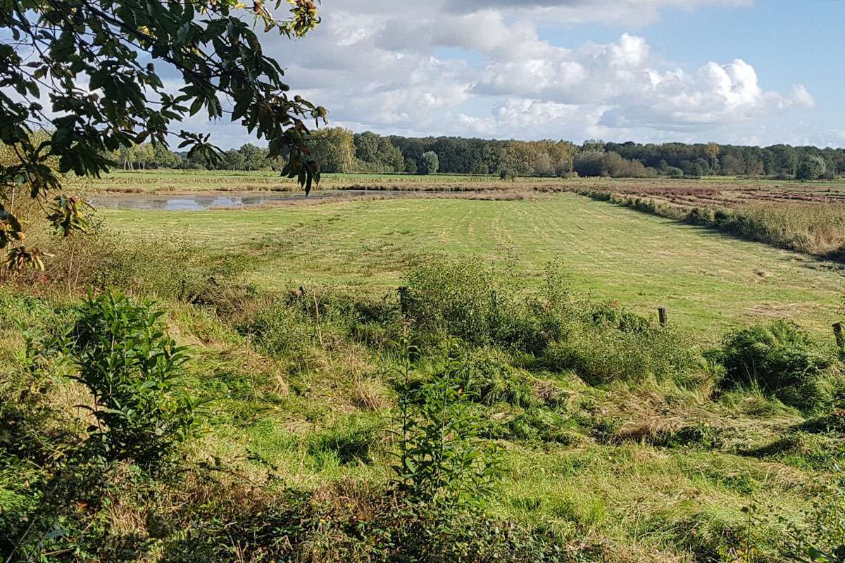 Landschaft in der Dingdener Heide, (c) Thomas Griesohn-Pflieger