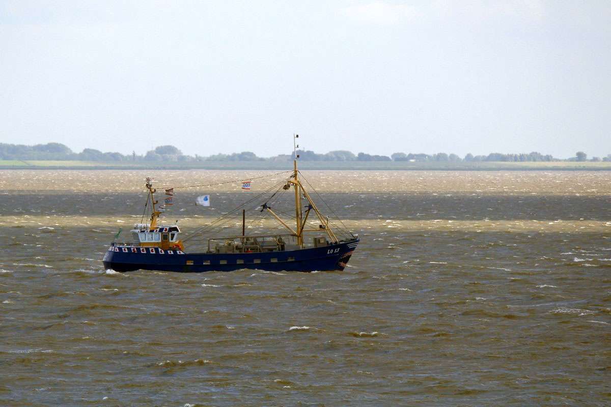 Kutter im Wattenmeer, (c) Thomas Griesohn-Pflieger