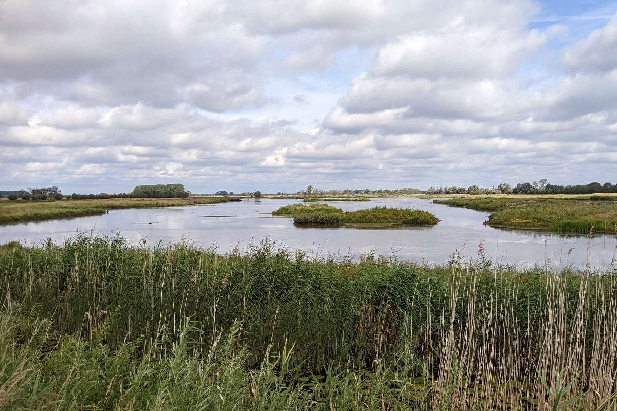 Landschaft am Nederrijn, (c) Thomas Griesohn-Pflieger