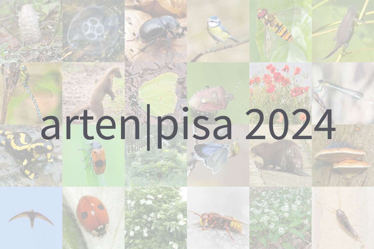 Auswahl der Arten aus der Befragung arten|pisa 2024