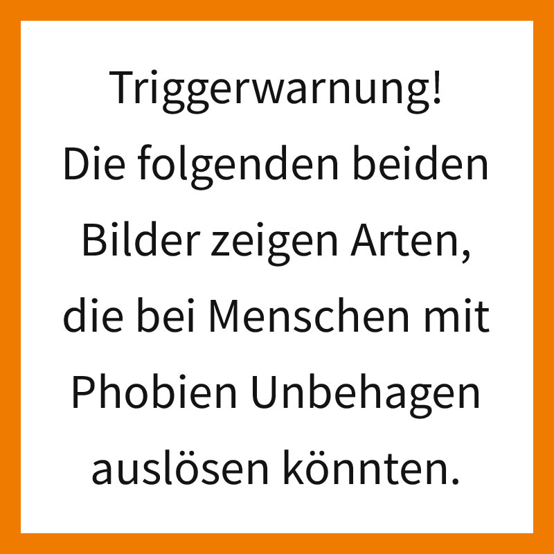 Triggerwarnung arten|pisa 2024