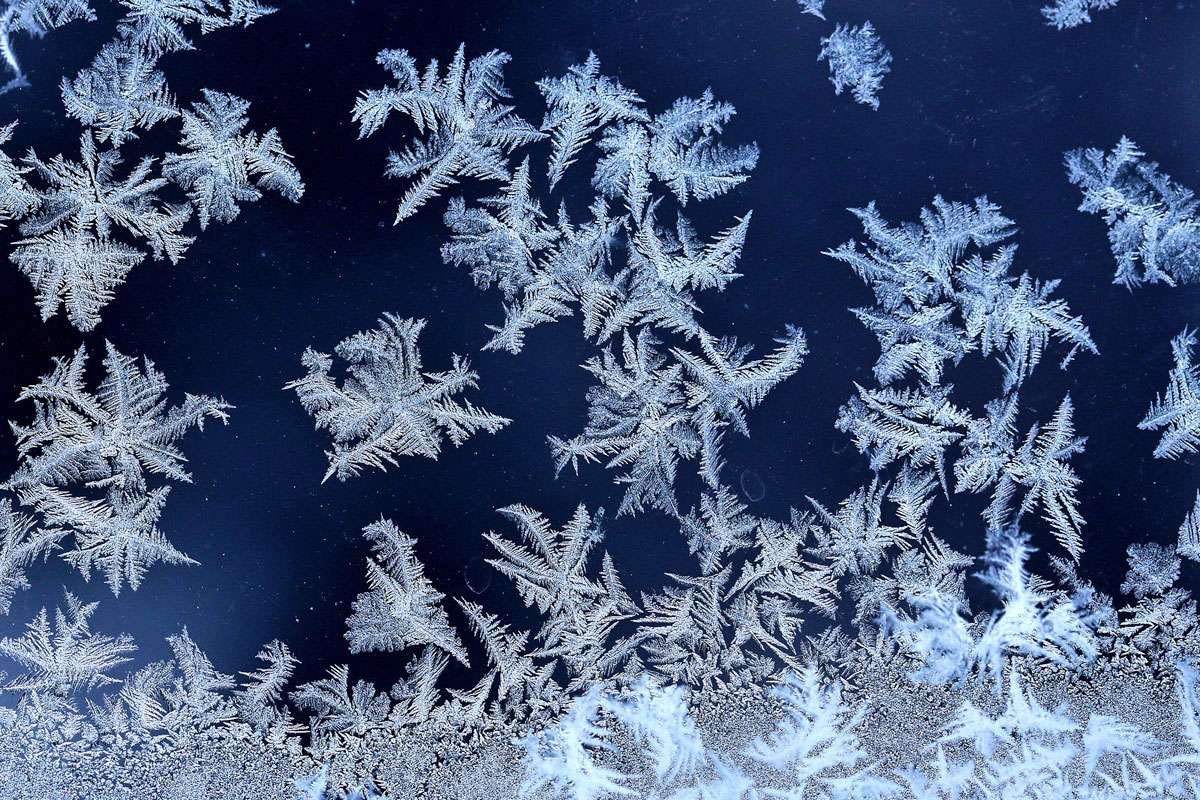 Eisblumen können beim Beobachtungswettbewerb als Naturphänomen gemeldet werden, (c) Caroline Walter/NABU-naturgucker.de