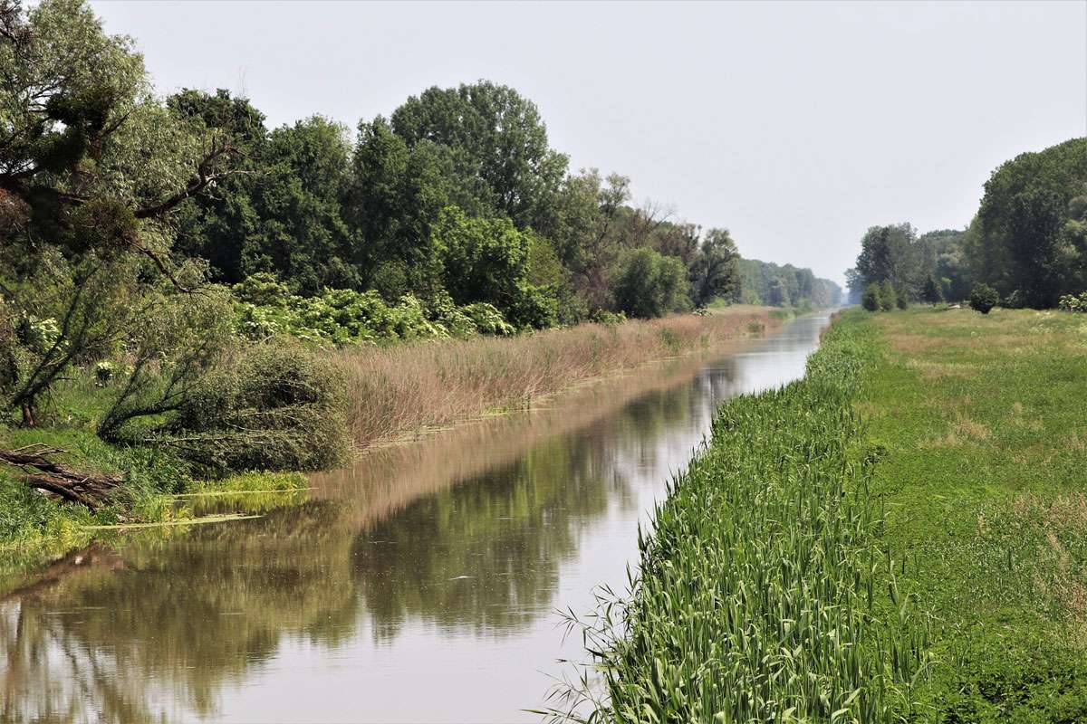 Einser-Kanal – Grenze zwischen Österreich (rechts) und Ungarn (links), (c) Birgit Wichelmann-Werth/NABU-naturgucker.de