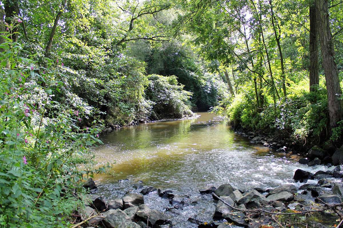 Die Nidder – ein fast natürlicher Fluss, (c) Birgit Wichelmann-Werth/NABU-naturgucker.de