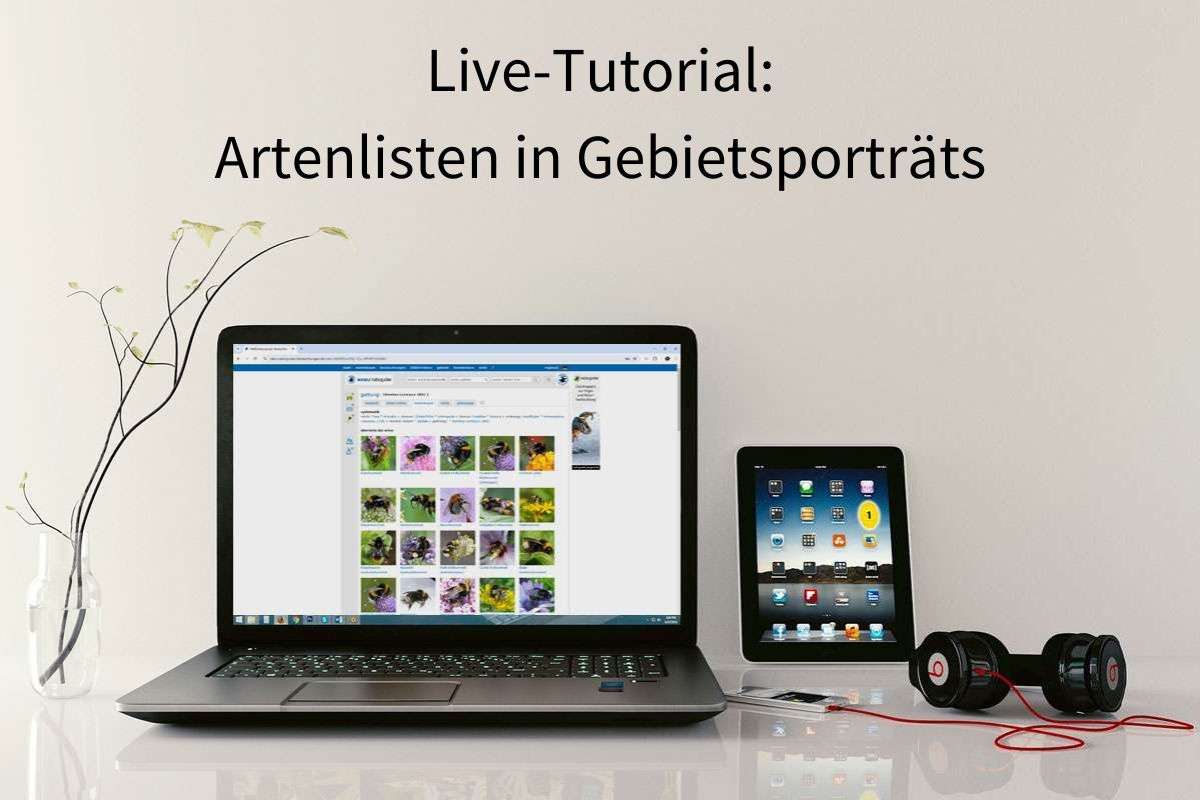 Live-Tutorial: Artenlisten in Gebietsporträts, Foto Laptop & Co. (c) Monoar_CGI_Artist/Pixabay