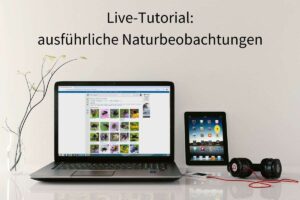 Live-Tutorial: ausführliche Naturbeobachtungen, Foto Laptop & Co. (c) Monoar_CGI_Artist/Pixabay