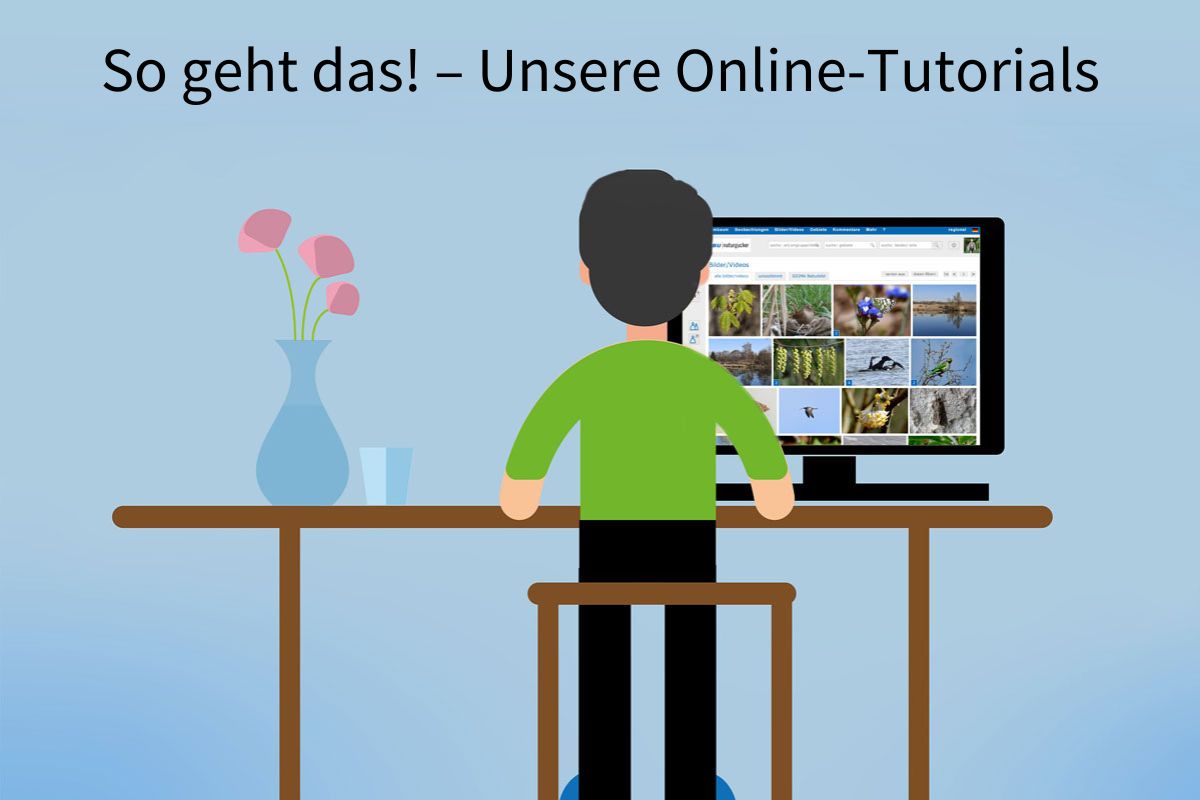 Online-Tutorials von NABU|naturgucker