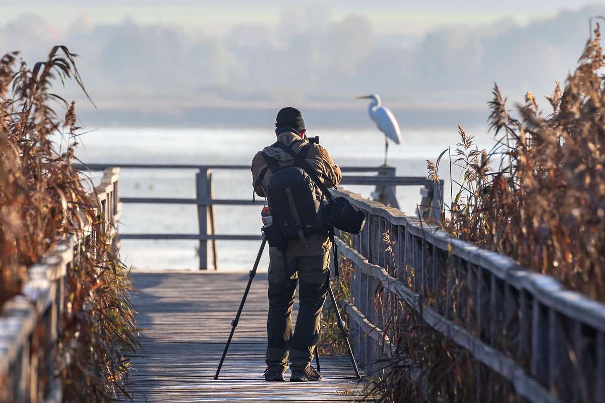 Naturfotografie, (c) Heiko Stein/Pixabay