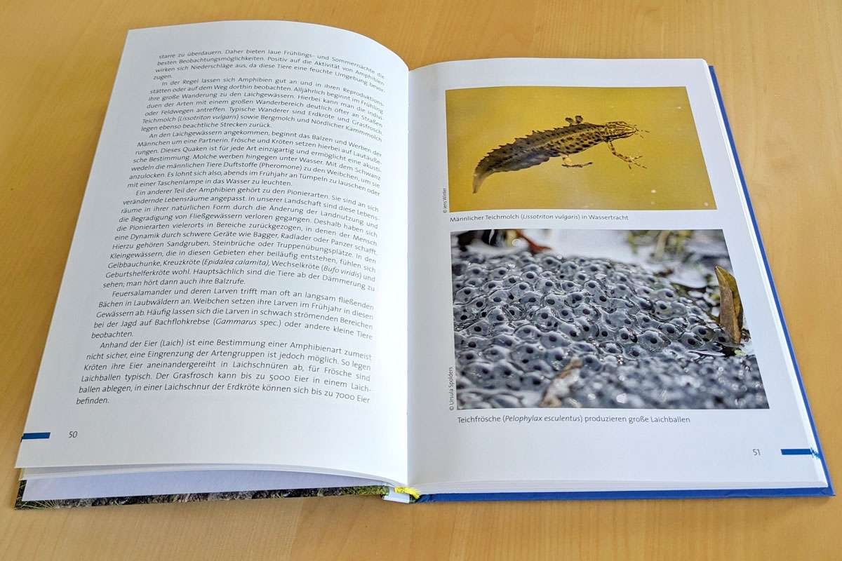 Blick ins Praxisbuch Naturgucken