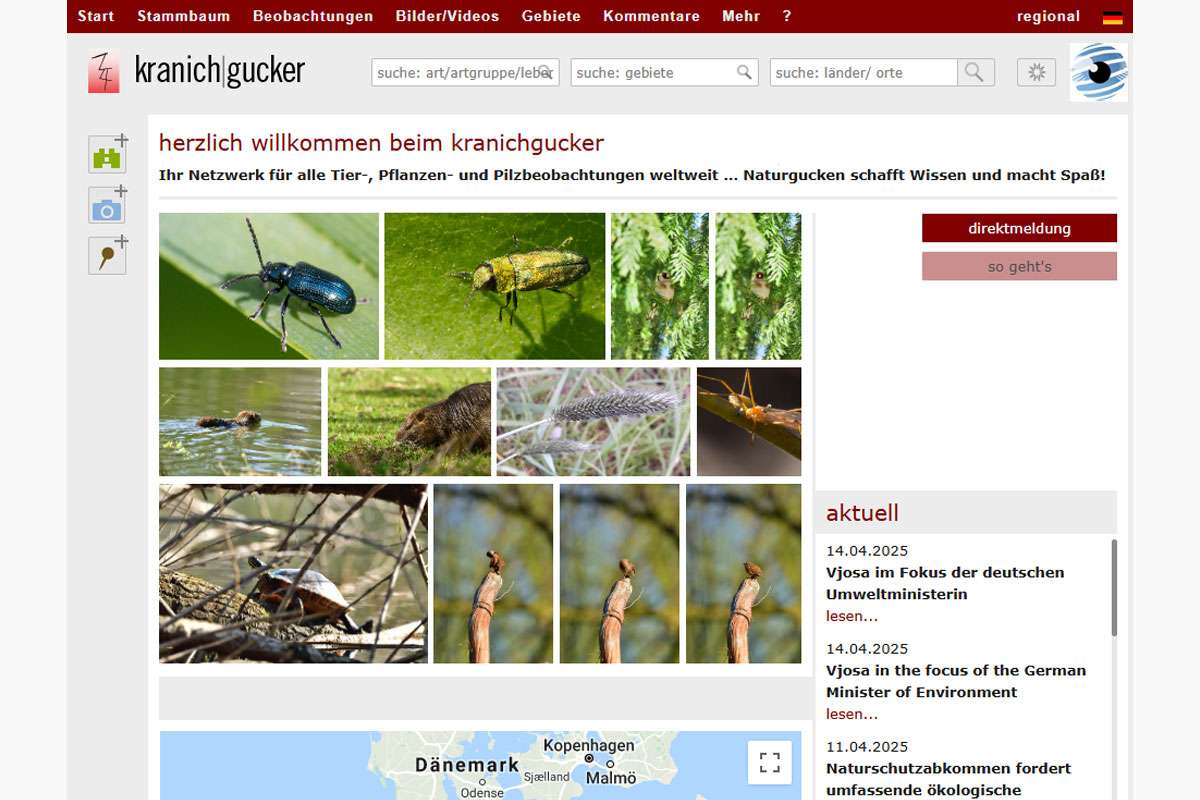 Beispiel für eine Projektseite unserer Partner