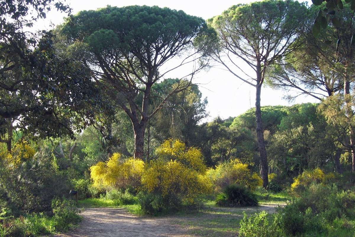 Landschaft in Andalusien, (c) Gaby Schulemann-Maier