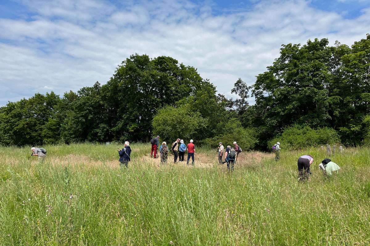 Gemeinsames Naturgucken während der Netzwerkreise im Mainzer Sand im Sommer 2024, (c) Ina Siebert