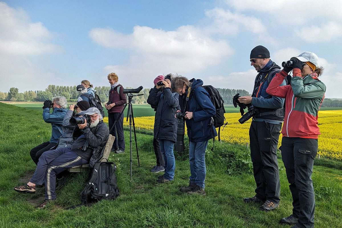 Vogelgucken in der Gruppe während der Praxistage Vögel am Niederrhein im April 2025, (c) Thomas Griesohn-Pflieger
