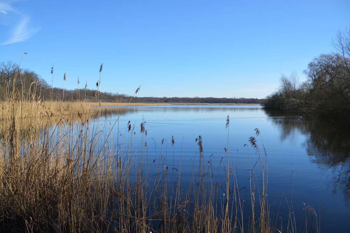 Landschaft im Naturschutzgebiet Riddagshausen, (c) Rolf Jantz/NABU-naturgucker.de