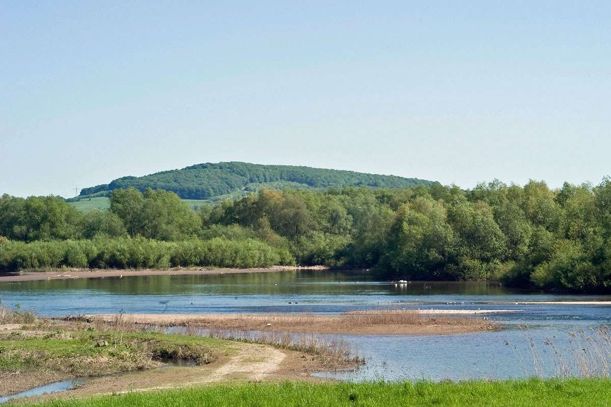 Geschiebesperre Hollenstedt, (c) Stefan Munzinger/NABU-naturgucker.de