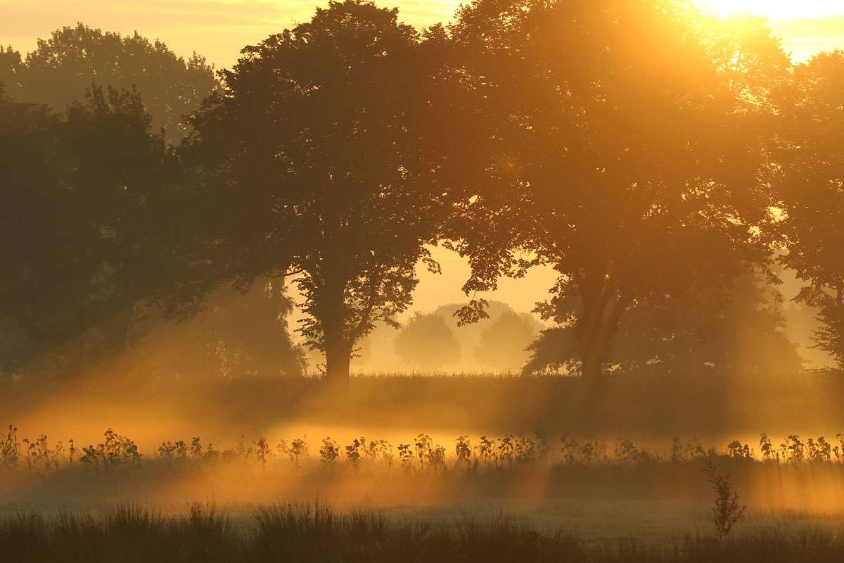 Landschaft im Ochsenmoor, (c) Ulrike Marxmeier/NABU-naturgucker.de