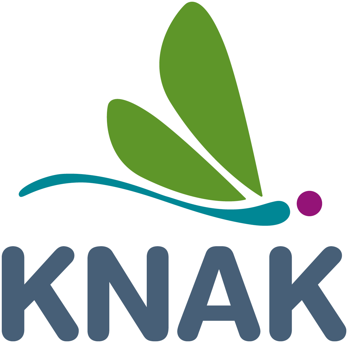 Logo KNAK