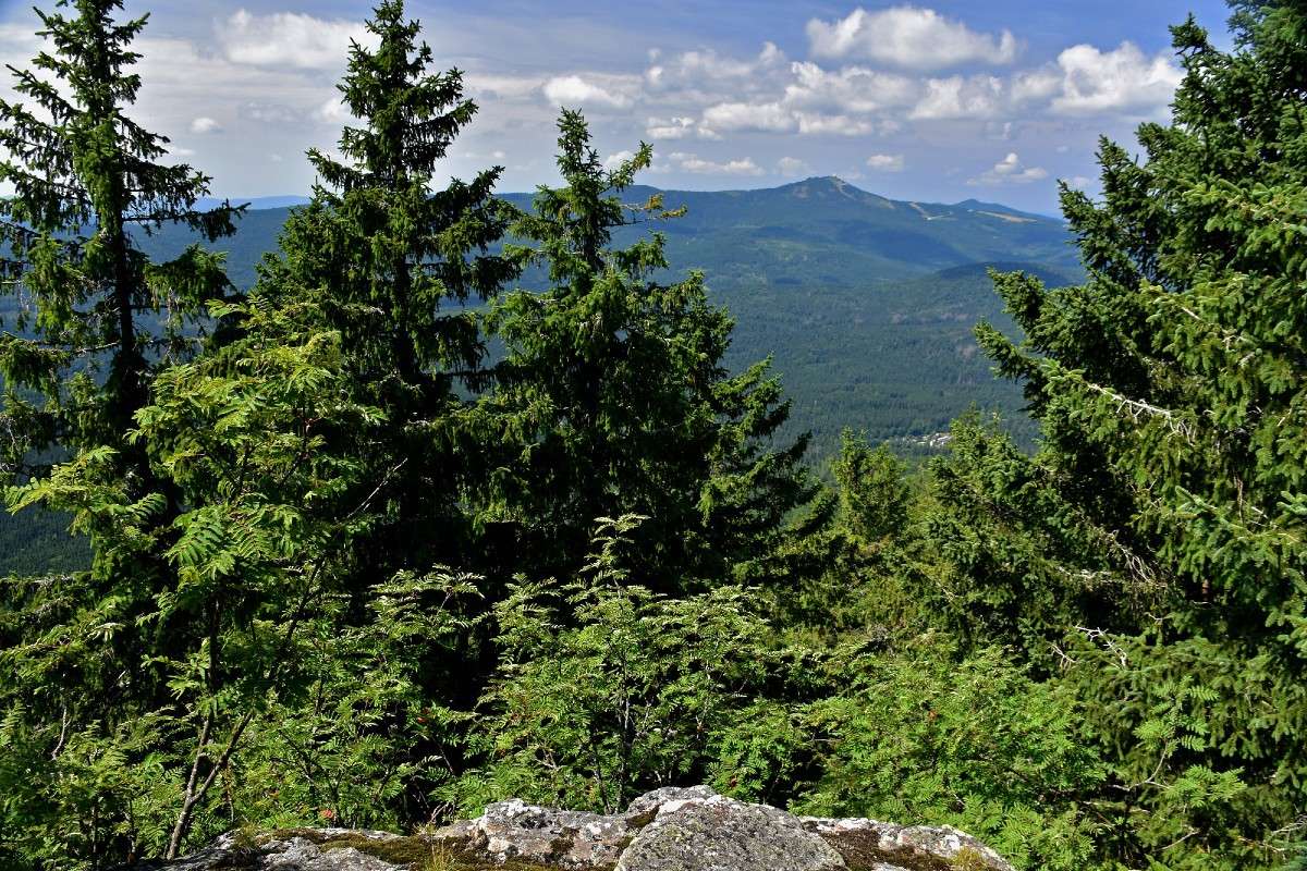 Blick zum Großen Arber, (c) Hans Schwarting/NABU-naturgucker.de