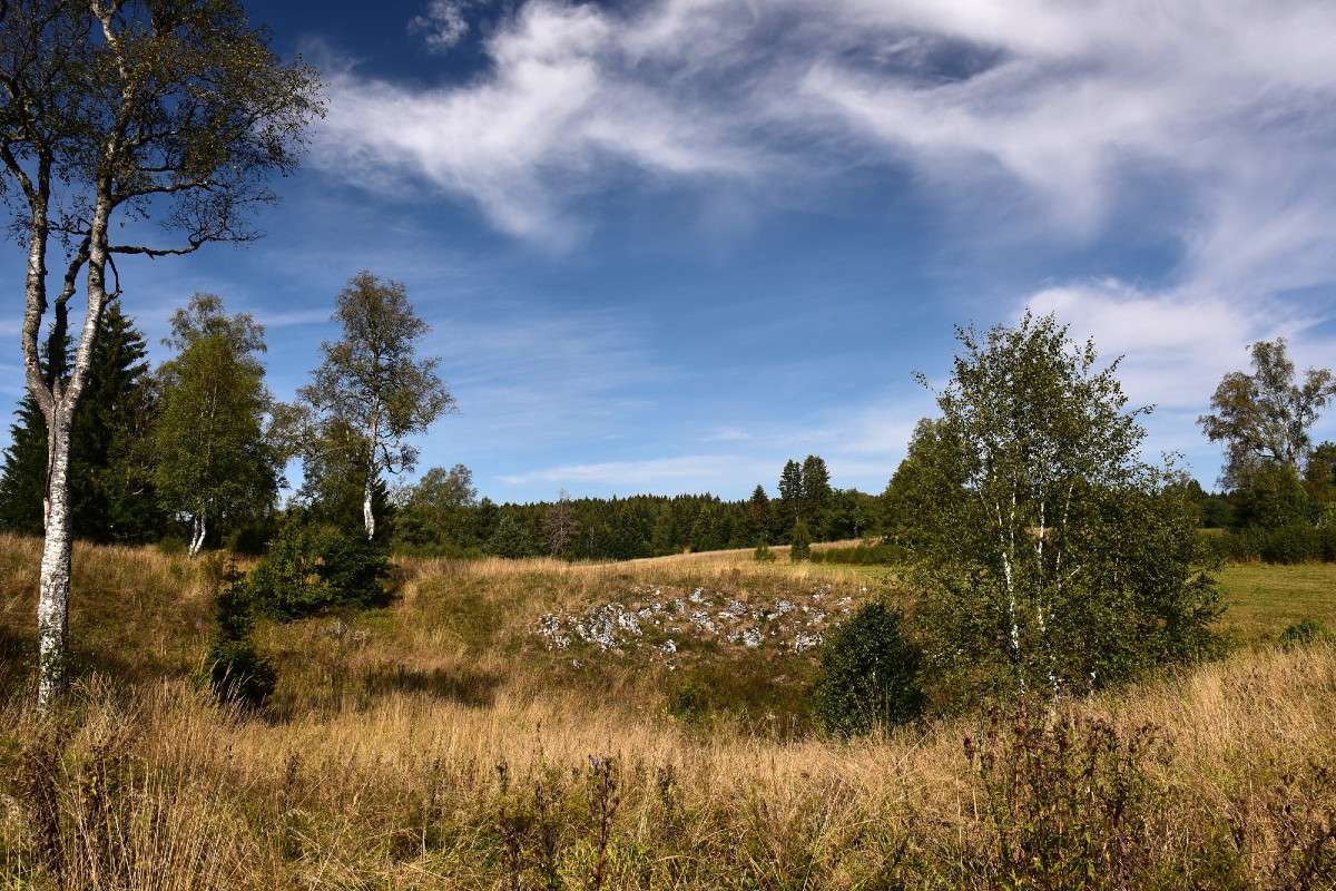 Doline in der Irndorfer Hardt, (c) Hans Schwarting/NABU-naturgucker.de