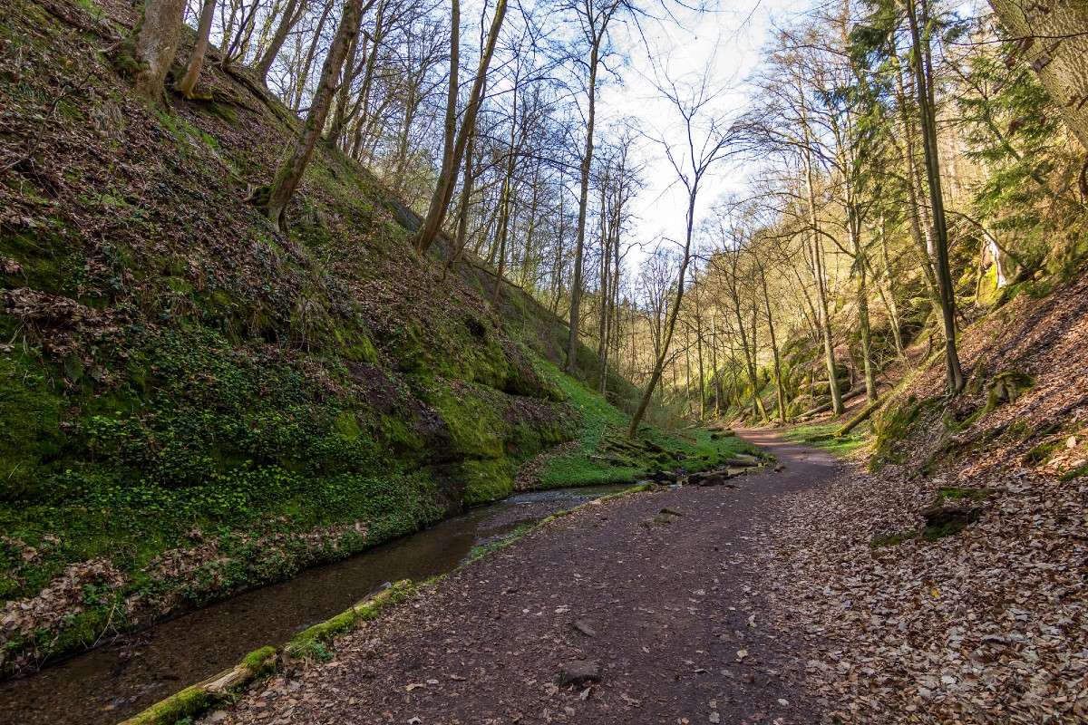 In der Drachenschlucht bei Eisenach, (c) Thomas Schwarzbach/NABU-naturgucker.de