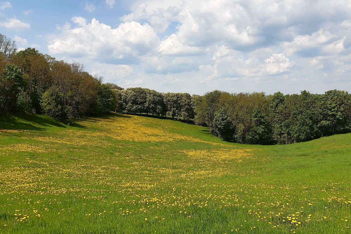 Sanft geschwungene Hügellandschaft, (c) Franziska Steinke/NABU-naturgucker.de
