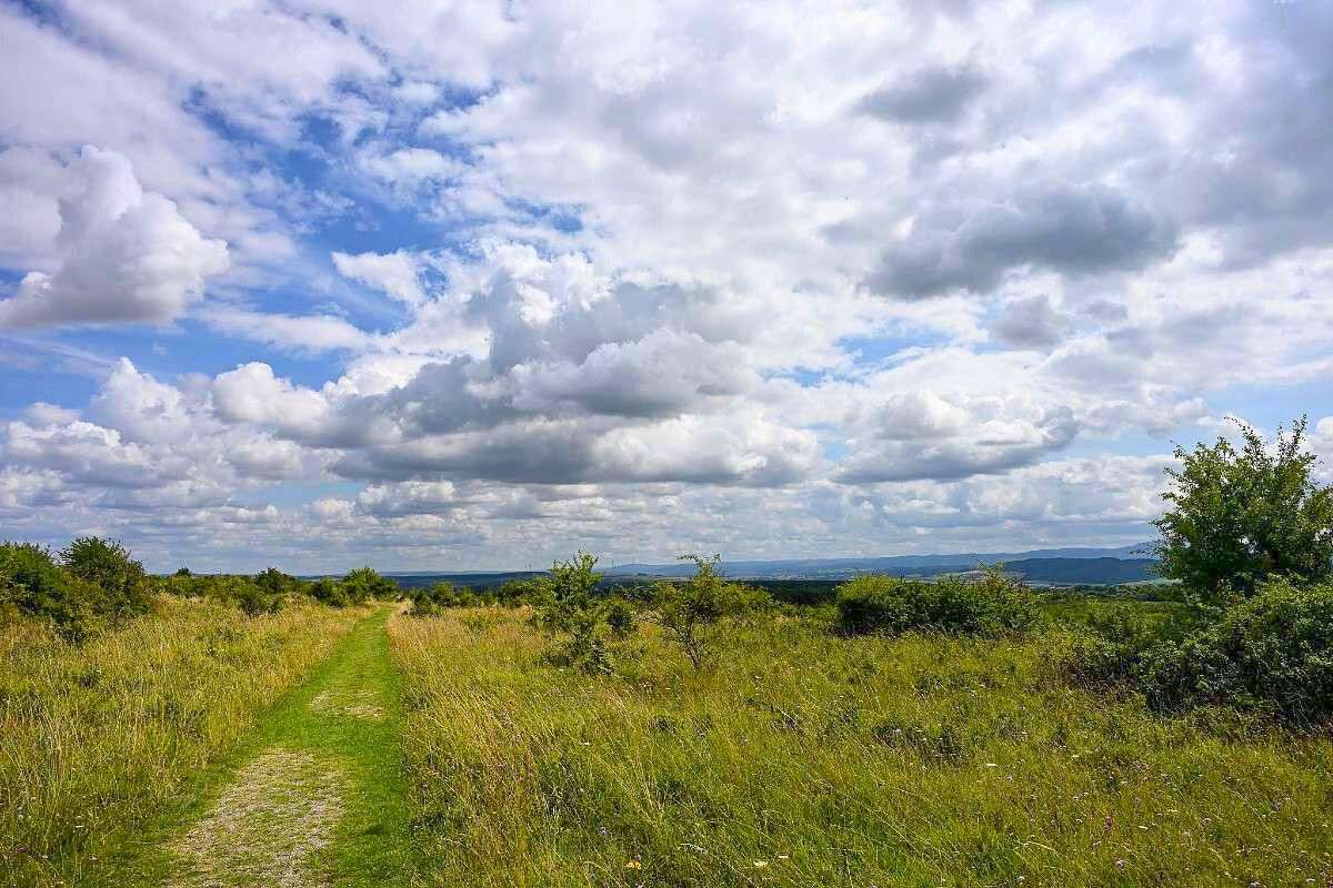 Weite, offene Landschaft bei Hörselberg-Hainich, (c) Franziska Steinke/NABU-naturgucker.de
