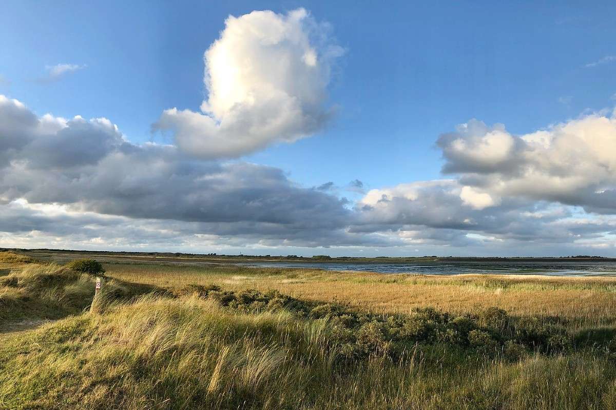 IJsselmeer am Abend, (c) Axel Aßmann/NABU-naturgucker.de