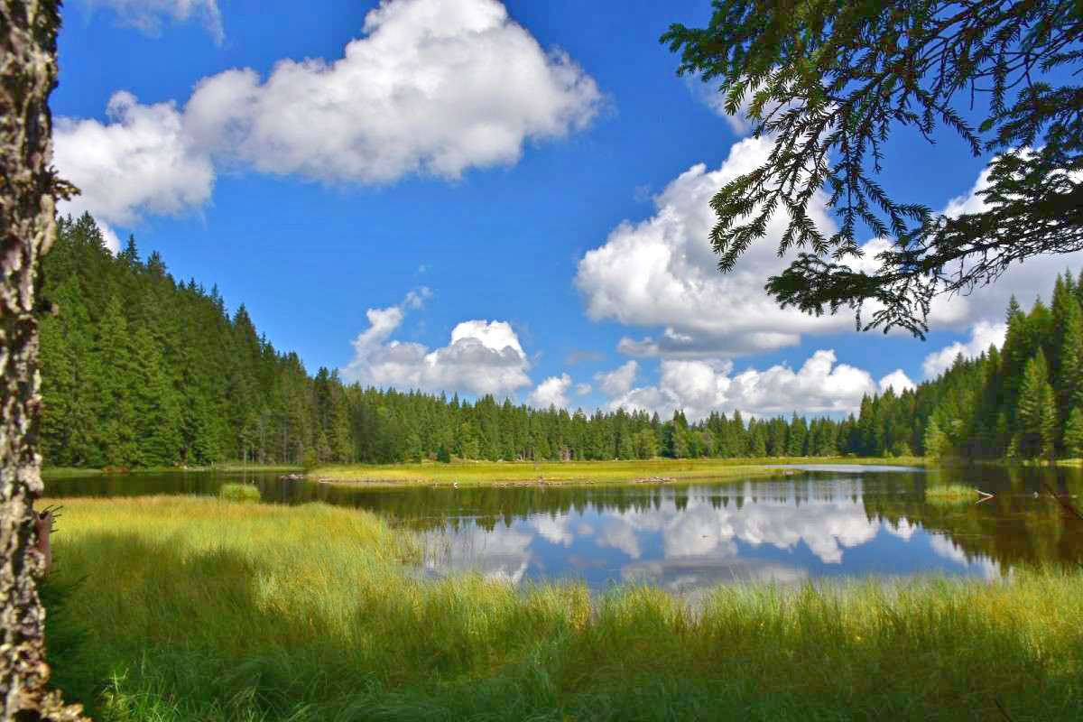 Kleiner Arbersee, (c) Hans Schwarting/NABU-naturgucker.de