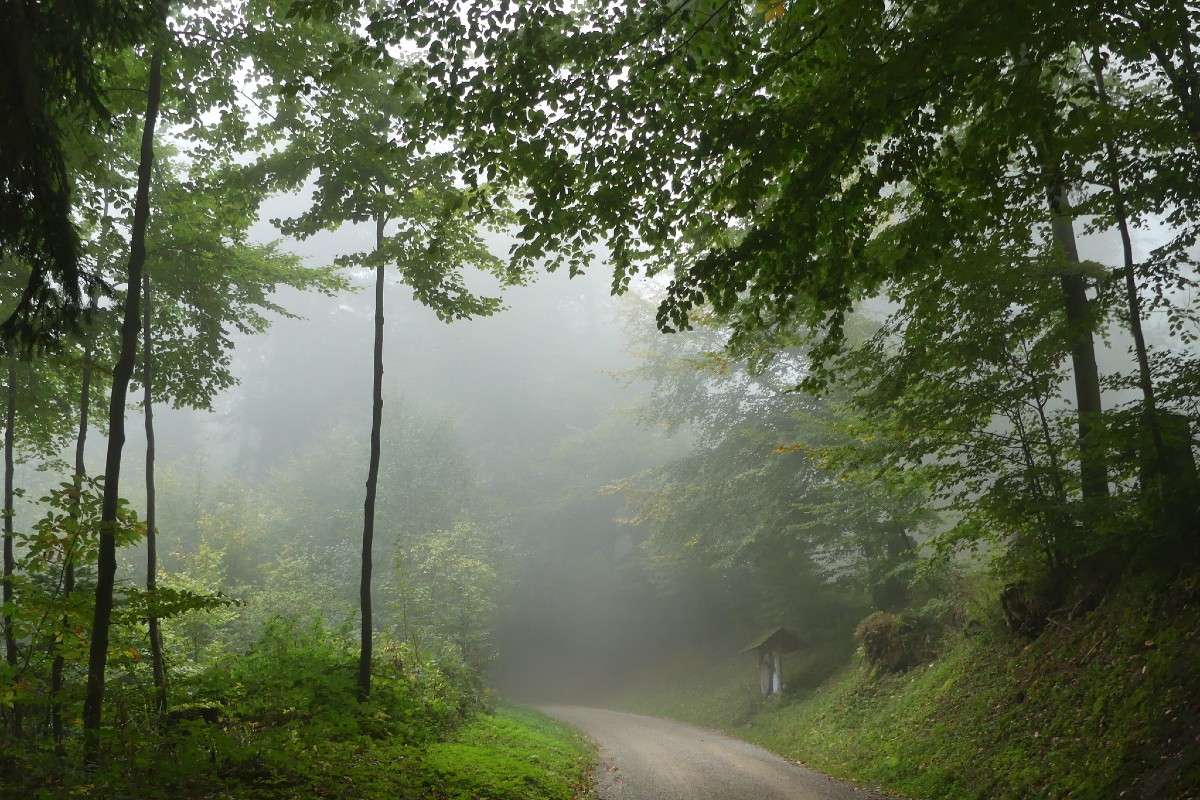 Zum Ruhewald, (c) Gudrun Treiber/NABU-naturgucker.de