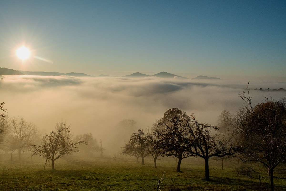 Morgenstimmung, (c) Christian Barth/NABU-naturgucker.de