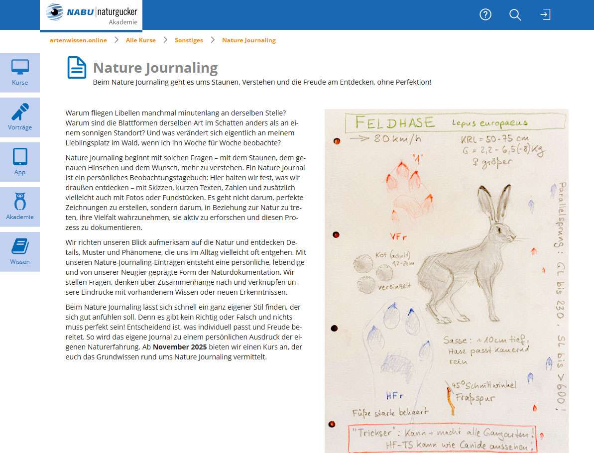 Lernthema Nature Journaling der NABU|naturgucker-Akademie