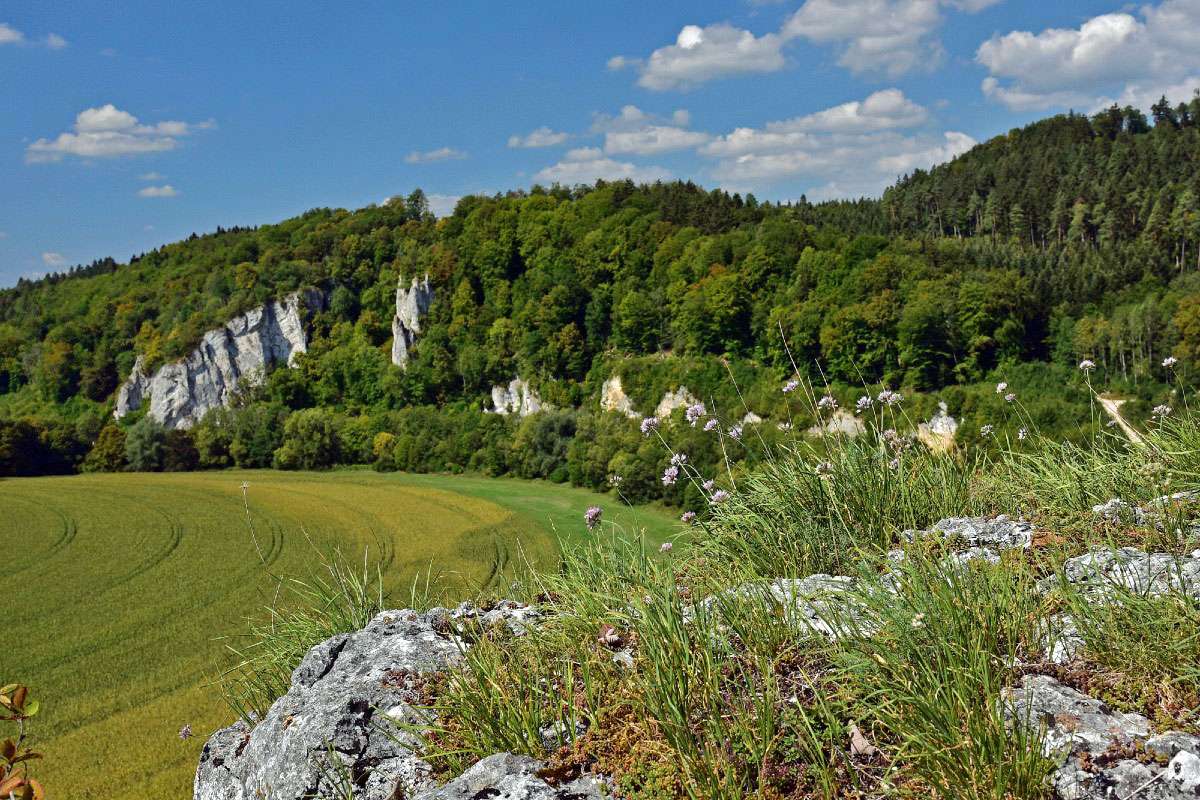 Aussicht am Gespaltenen Fels bei Inzigkofen, (c) Hans Schwarting/NABU-naturgucker.de