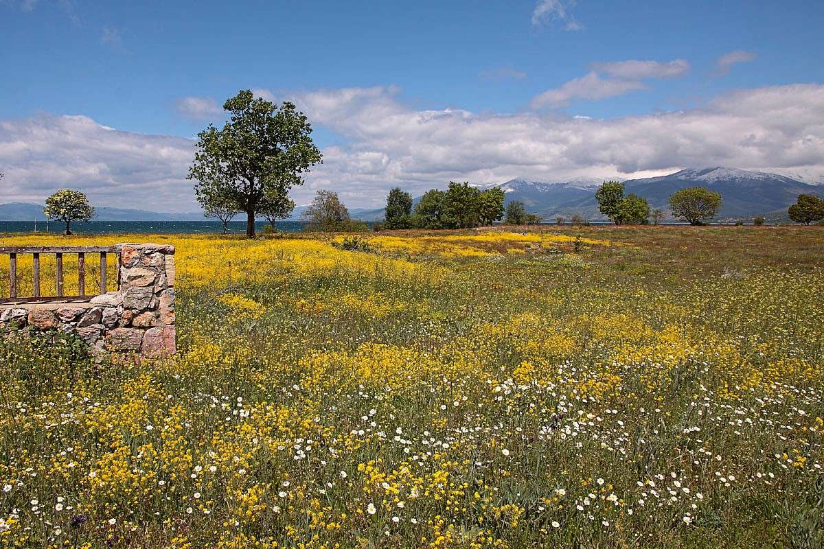Artenreiche Wiesen, (c) Andreas Schäfferling/NABU-naturgucker.de