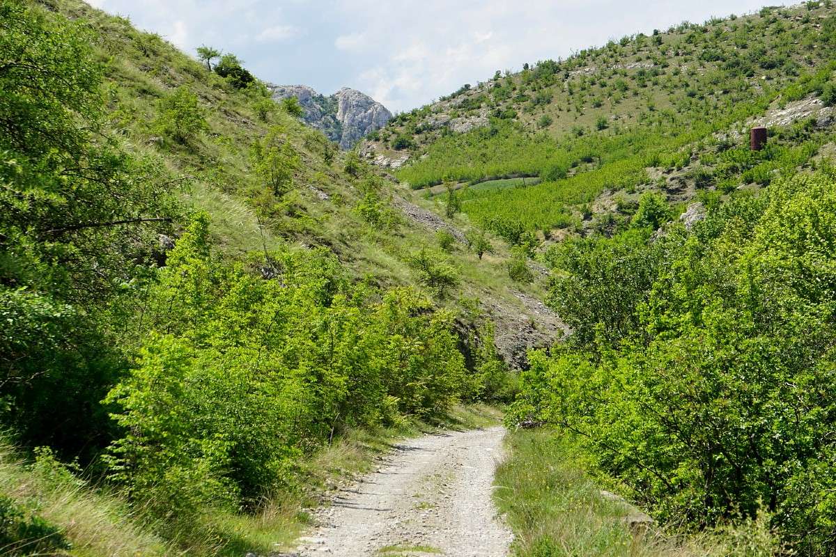 Bachtal mit reicher Tier- und Pflanzenwelt, (c) Jörg Eidner/NABU-naturgucker.de