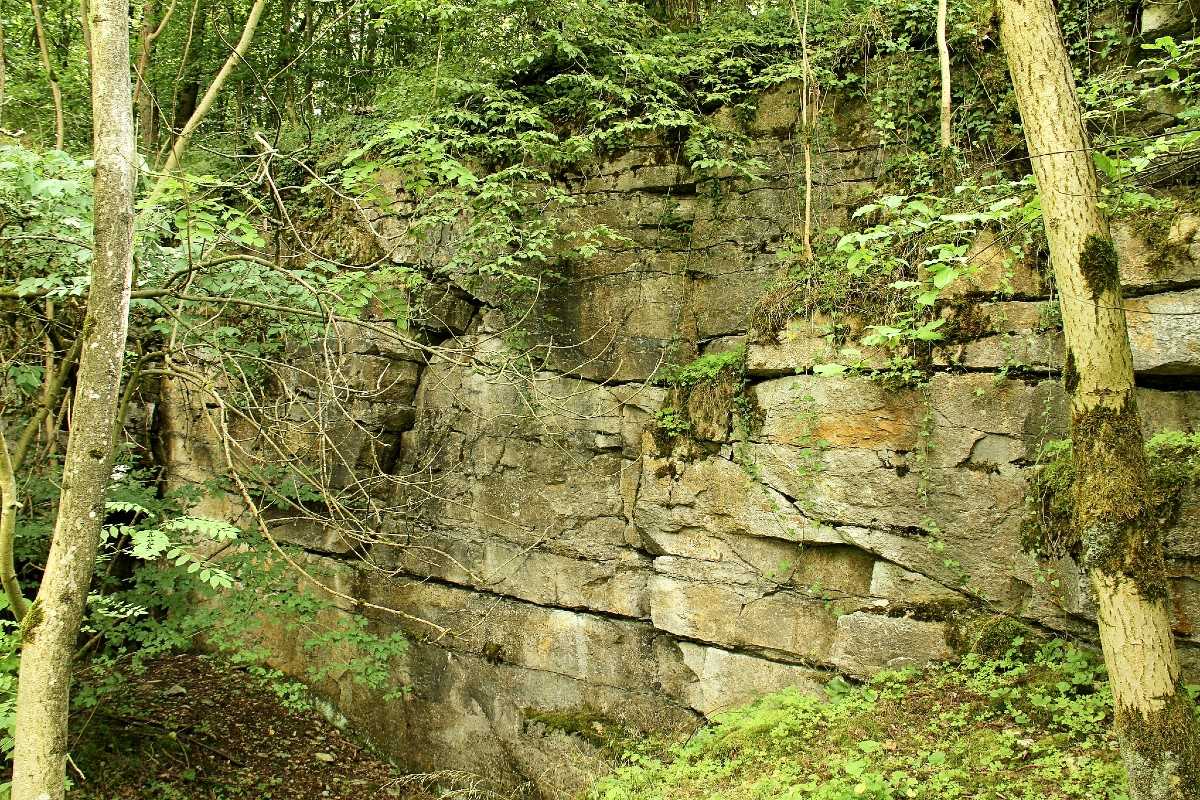Geologischer Aufschluss, (c) Ronny Hartwich/NABU-naturgucker.de Geologischer Aufschluss, (c) Ronny Hartwich/NABU-naturgucker.de