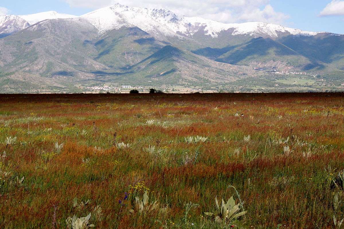Weite Ebene mit Blick aufs Gebirge, (c) Andreas Schäfferling/NABU-naturgucker.de
