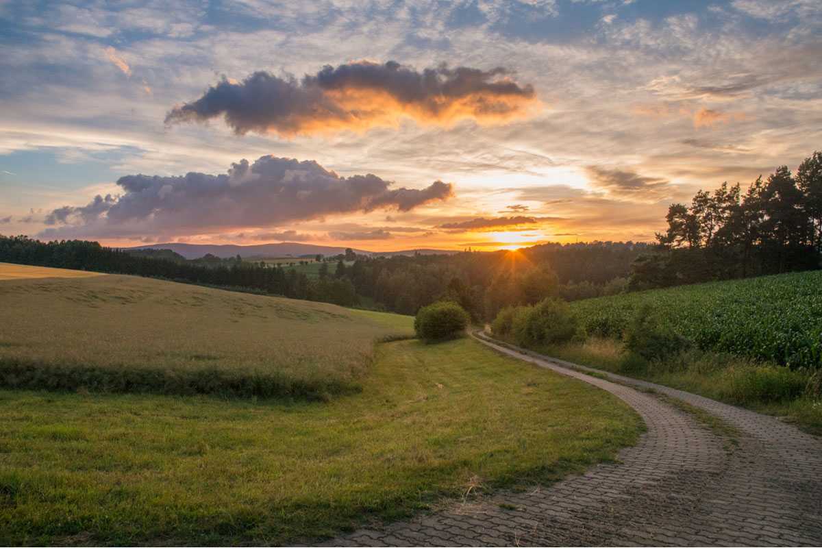 Sonnuntergang, (c) Sarah Beer/NABU-naturgucker.de Sonnuntergang, (c) Sarah Beer/NABU-naturgucker.de