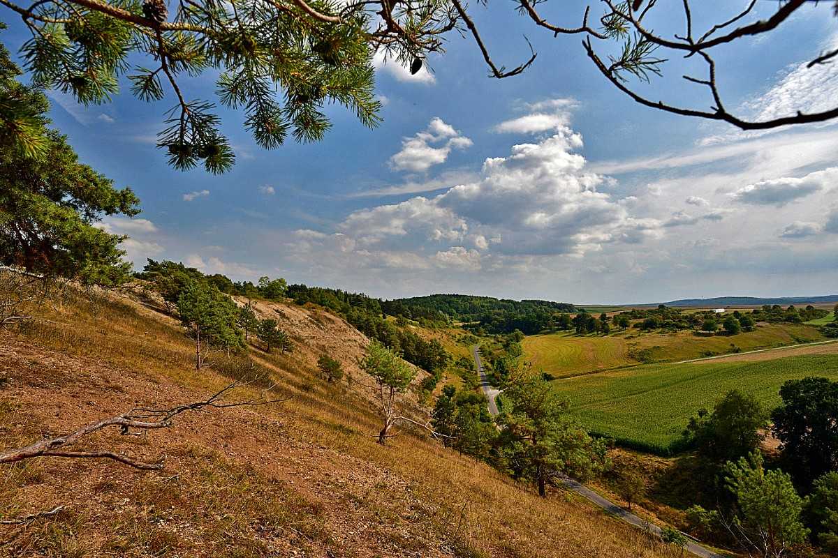 Trockenrasen bei Unsleben, (c) Hans Schwarting/NABU-naturgucker.de Trockenrasen bei Unsleben, (c) Hans Schwarting/NABU-naturgucker.de