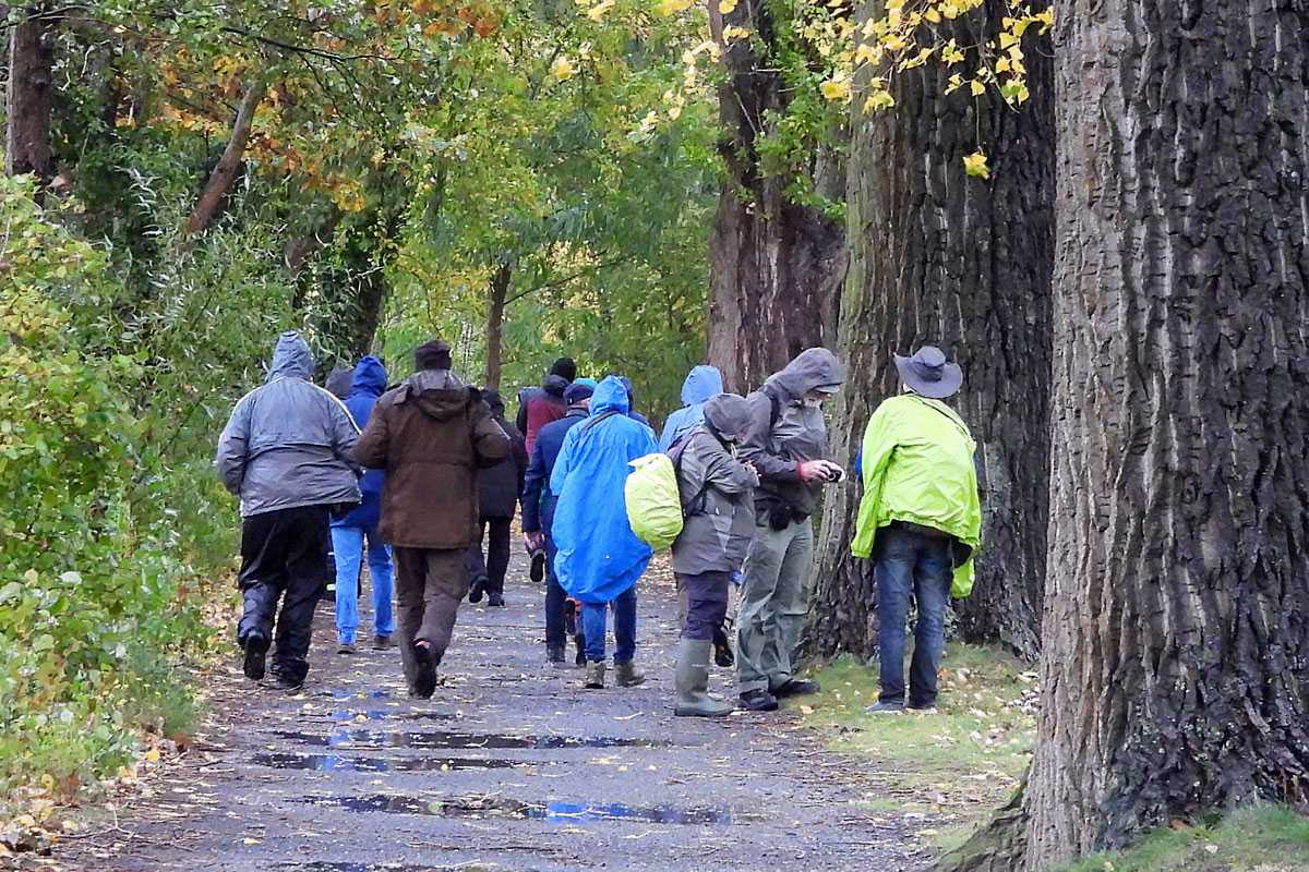 Die Pilz-Exkursionsgruppe im NSG Riddagshausen, (c) Carolin Zimmermann/NABU-naturgucker.de Die Pilz-Exkursionsgruppe im NSG Riddagshausen, (c) Carolin Zimmermann/NABU-naturgucker.de